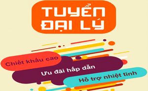 kem duy tuyen dai ly npp